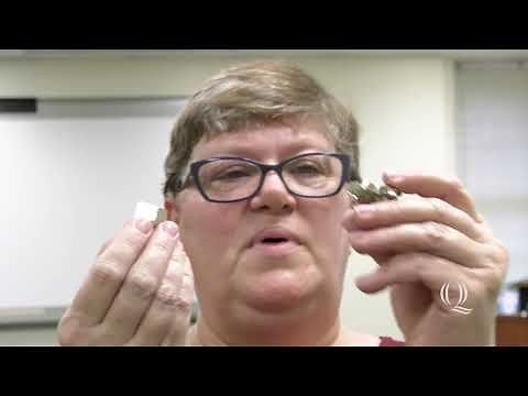 SCI 102 - Identifying Minerals - cleavage vs. fracture