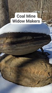 2.1K views · 14 reactions | Widow Makers from the coal mine here in Nicholas County, West Virginia. The mine was called Raven Peerless. We saved as many of these as we could. #coal #reelschallengereelschallenge #reelsviralシ #wv##ravenrockfarms #coalmineaccident #coalmining #WestVirginia | Raven Rock Farm | Facebook