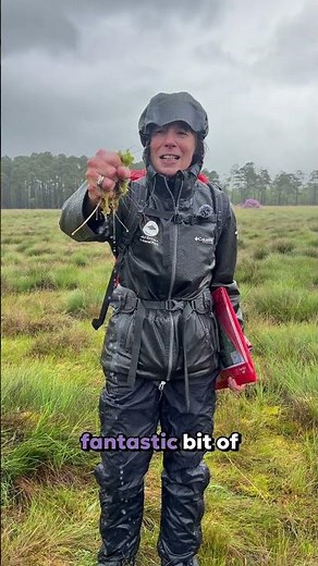 Did you know this bog fact?