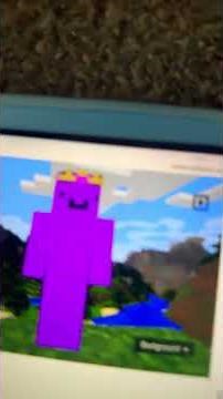 How to get a custom skin in Minecraft ￼