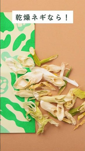 乾燥ねぎは便利で美味しい？｜乾燥野菜を活用しよう！