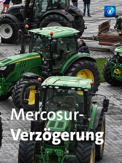 Hürde für Mercosur-Abkommen: EU-Parlament fordert Überprüfung