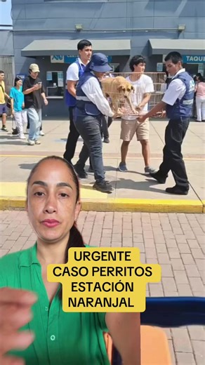 Exigimos información sobre perritos en Naranjal