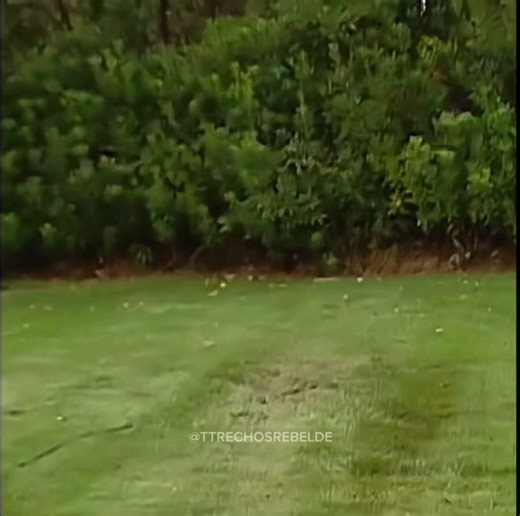 Roberta e Gastão: Conflito em Rebelde