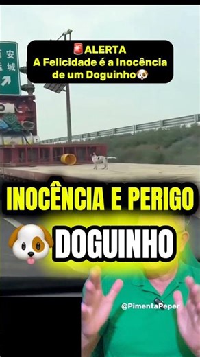 🐶 HE JUST WANTED TO PLAY… BUT HE WAS IN DANGER ⚠️