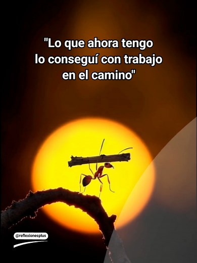 Frases de motivación y reflexiones fuertes para dedicar (lo conseguí en el camino)