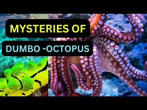 This Deep-Sea Animal Survives Pressures That Would Crush a Submarine.