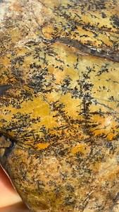 **edit** Oops.. I guess this WAS jade after all 😅 was hoping this dendritic little thing was some funky jade, but it was scratched by quartz. Could have still made pretty cabs.. maybe I’ll go back for it | Marble Tulip Minerals & Lapidary