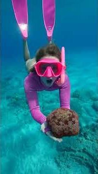 Underwater Cleanup - Found Treasure & Octopus!