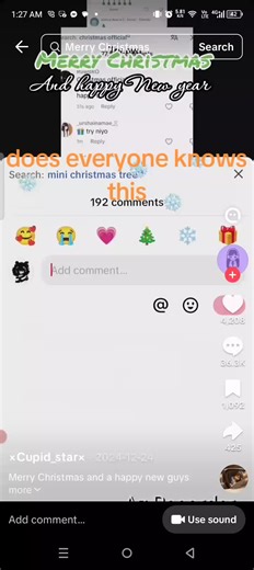 Merry Christmas and Happy New Year Celebrations