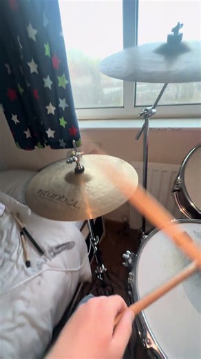 Why a Labrador May Be the Perfect Companion for Loneliness