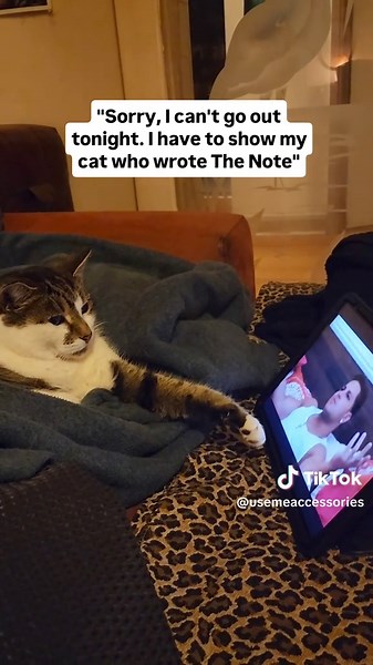 Iconic Jersey Shore Moments with Snooki and Friends