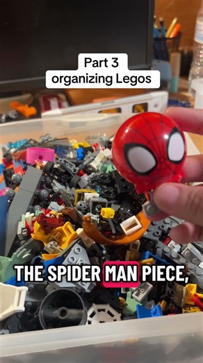 Part three of organizing all of my Legos parts#collector #lego