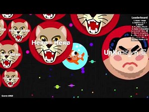 Agar.io Team 24k with unknown and magic blob troll!