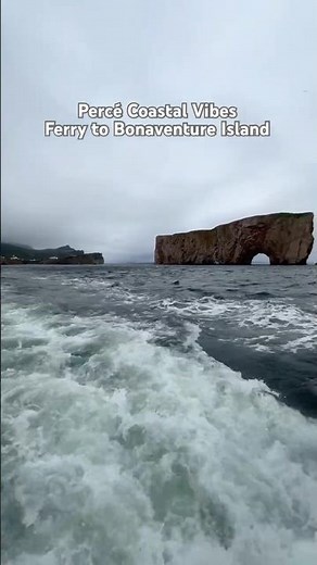 Scenic Ferry Ride to Bonaventure Island & the Northern Gannet Colony