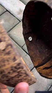 Easy way to build an orchid display using wood 🌿 #gardeningtips #orchid #fblifestyle | Leni March