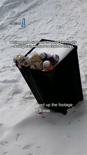 Pop cans exploded perfectly. Beer cans froze into slushies at -30C/ -22F