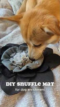 How to make a DIY Snuffle Mat for dog enrichment and mental stimulation 🐶🐾