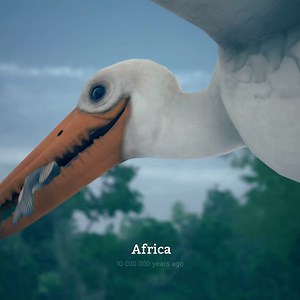 1000 Years Ago African Jungle | Climax Gameplay