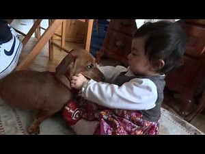 SWEETEST Dog & Baby KISSES