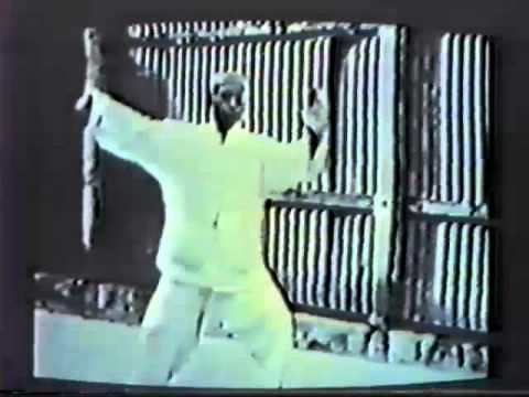 Tung Ying-Chieh Tai-Chi 1st section.mp4