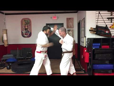 Isshinryu Snap Punch