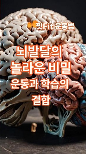 뇌신경발달과 운동과 학습의 결합, #뇌신경생성, #운동과학습, #핏운동법, #정일규