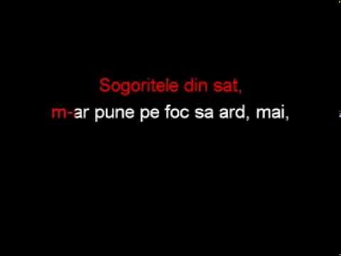 Angela Rusu - Toate Sogoritele Karaoke