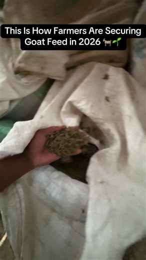 Lucerne Pellets: Future of Goat Fodder Security