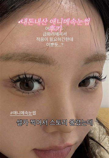 애니메속눈썹 효과 및 후기