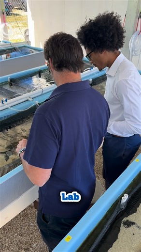 Vjaughn Ingraham, M.S. on Instagram: "The Caribbean’s first on-land queen conch hatchery has launched in Conservation Cove, led by @_blueaction Blue Action Lab (BAL) and FAU Harbor Branch Oceanographic Institute. @harborbranch @floridaatlantic @queenconchlab This pioneering project, funded by Builders Vision, is transforming ocean conservation — with 10 million conch eggs already produced in its first phase. Beyond restoration, it’s creating new jobs, research opportunities, and a blueprint for 