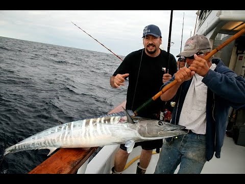 San Diego Long Range Fishing on the Intrepid, Independence, Red Rooster 3