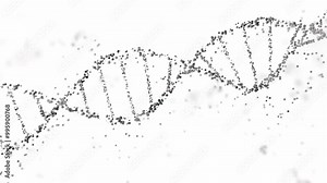 3D rendering of a DNA double helix structure with spheres on a white background. Genomic sequencing, molecular biology, and genetic data analysis