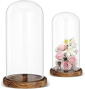 Suclain 2 Pcs Glass Cloche Dome with Base 7”/10” Decorative Glass Display Dome Tabletop Bell Jar Showcase for Plant Flower Storage Antique Collectibles Keepsakes Toy Medal Specimens Crafts Decorations
