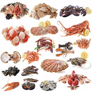 Why shellfish is not good for you? [2025] | QAQooking.wiki