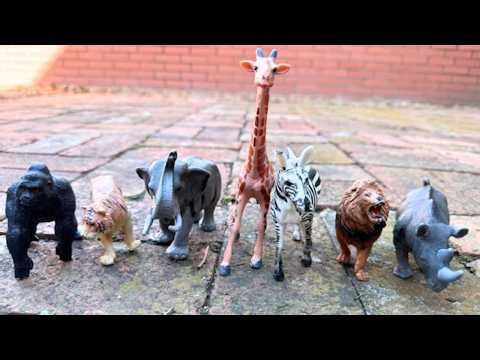 Zoo Animals for Kids | Learn Animal Names & Sounds!