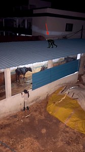 1.9M views · 10K reactions | “घर की छत पर दिखा रहस्यमयी साया… क्या आपने देखा?  | #cctvclip Some AI visual effects used for creativity. Original video by me | | Devil's night with dharmendra | Facebook