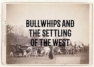 How the Bullwhip Tamed the American West — Frontier Life
