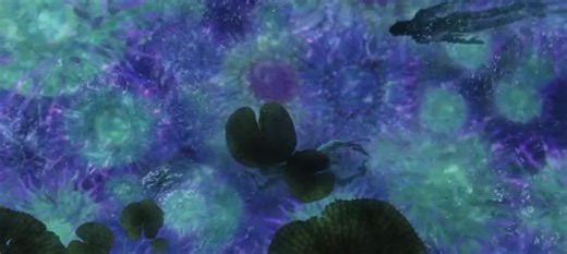 #avatar #humanityfirst #RDA #avataredits #humanityedit | avatar edits