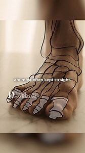 Improve balance, strength, and injury prevention by understanding foot anatomy! Learn how proper alignment enhances dance performance. #DanceMasterclass #FootAnatomy #BalletTraining #Dancer #Dance #Training www.dance-masterclass.com | Dance Masterclass