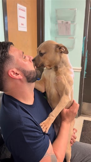 Spending the morning with our girl Susie Sprinkles at The City of Mobile Animal Services. This brave girl was abandoned and she is tiny only 25lbs fully grown, and so she gets so hugs in the office before going into her kennel in genpop. We would love to get this girl back out asap, she is 1 year old and great with children, cats and dogs. We will also wave for adoption fee for approved applications. Adoption application link; https://www.surveymonkey.com/r/COMASAL | Martin Miller