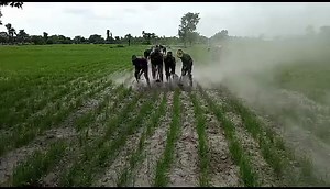 481K views · 11K reactions | Au champ ✅ | 퐖퐚퐬퐬퐨퐥퐨24 | Facebook