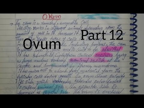 Ovum, structure of ovum, types of ovum