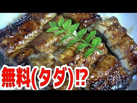 【釣れたて！】無料で『極上うなぎ丼』が食べれる方法がこちら