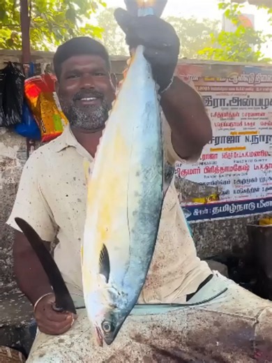 KASIMEDU SPEED SELVAM BIG BARRACUDA FISH CUTTIN #foryoupage #foryou #viral #unitedstate #france #italy #germany #unitedkingdom #unitedstates