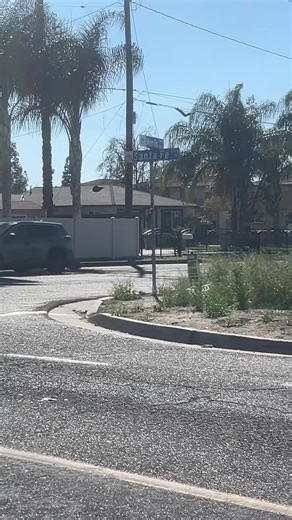 Support Local Street Vendors in Hemet