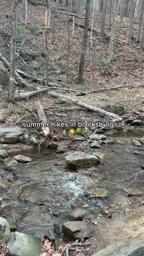 What's your favorite local hike? 🥾🌲⛰️ #Blacksburg #VirginiaTech #Hiking #ExploreVA #NatureLovers