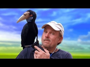 BIllsChannel - Subscribe now!