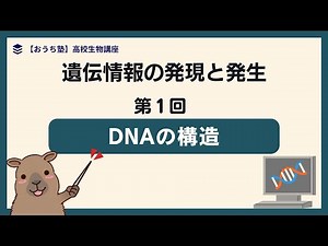 【生物】DNAの構造と方向性について優しく解説！第１回