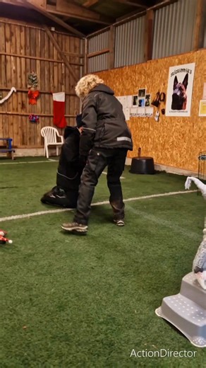 Ambitiösa hundägare se hit!! Under nästa år kör jag igång kursen "Näsan förstår Nosen", en kurs för den som vill lära sig hur det känns att vara specialsökhund. Välkomna med anmälningar i kommentarsfältet 🤗 | Sannas Hundliv
